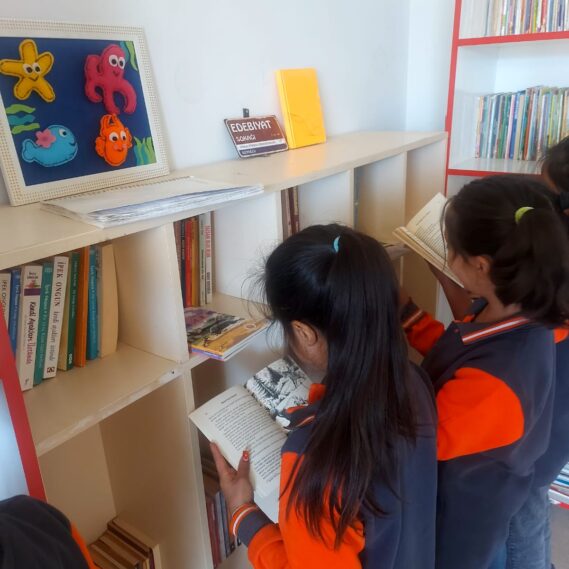 WhatsApp Image 2025-03-13 at 11.14.41 WhatsApp Image 2025-03-13 at 11.14.41